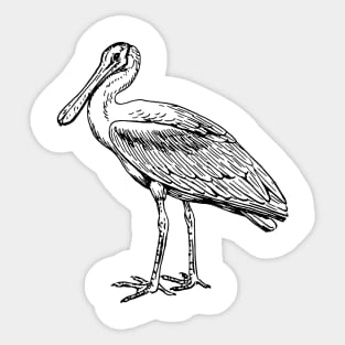 spoonbill Sticker